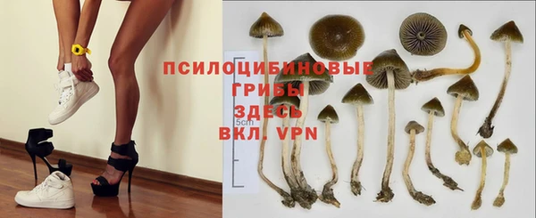 а пвп мука Армянск
