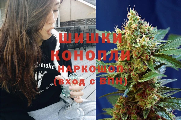 твердый Аркадак