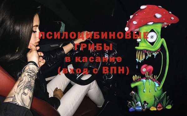твердый Аркадак